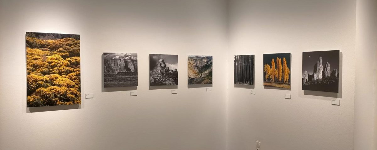 Exposición de Fernando Alvira Lizano en Montemuzo