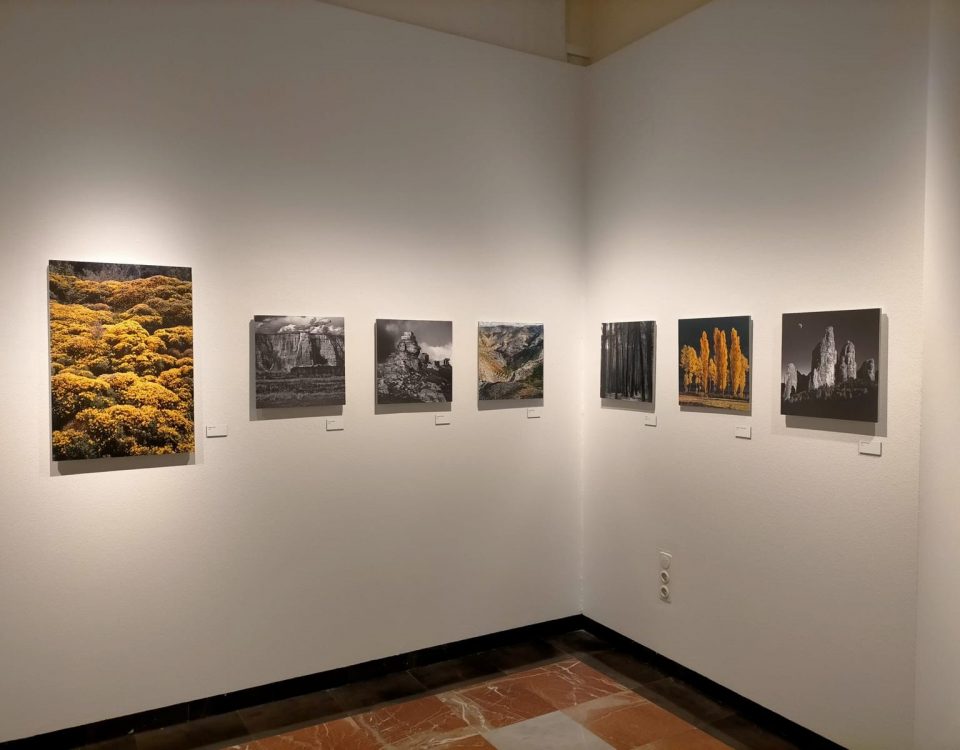 Exposición de Fernando Alvira Lizano en Montemuzo