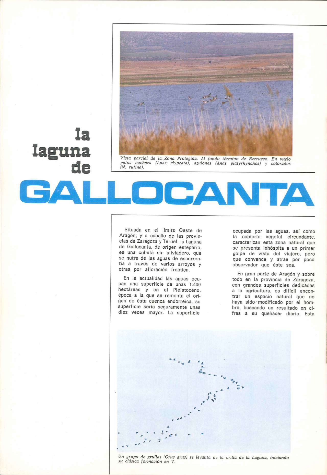 Gallocanta en la revista de abril de 1975