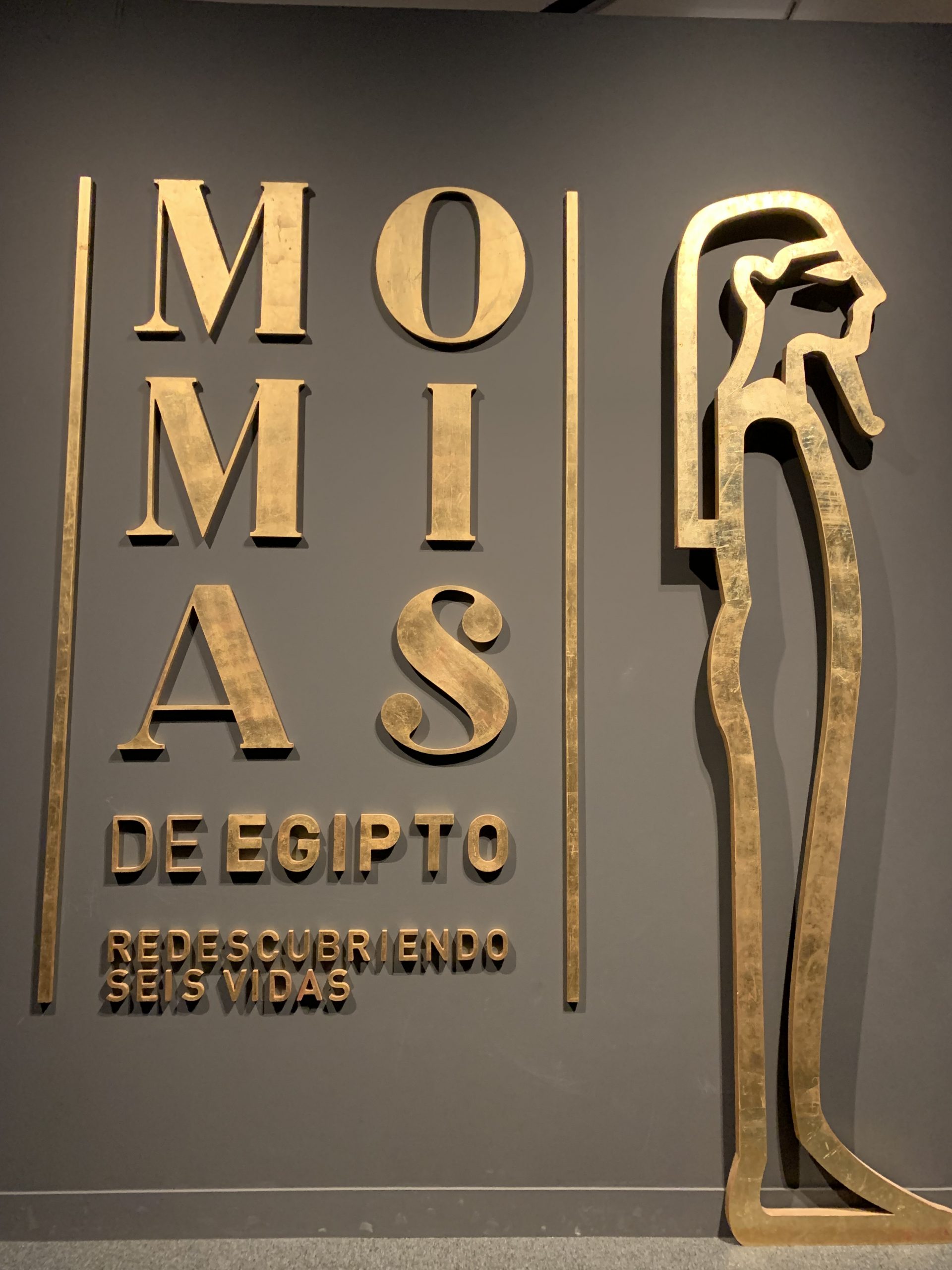 Exposición 'Momias de Egipto'