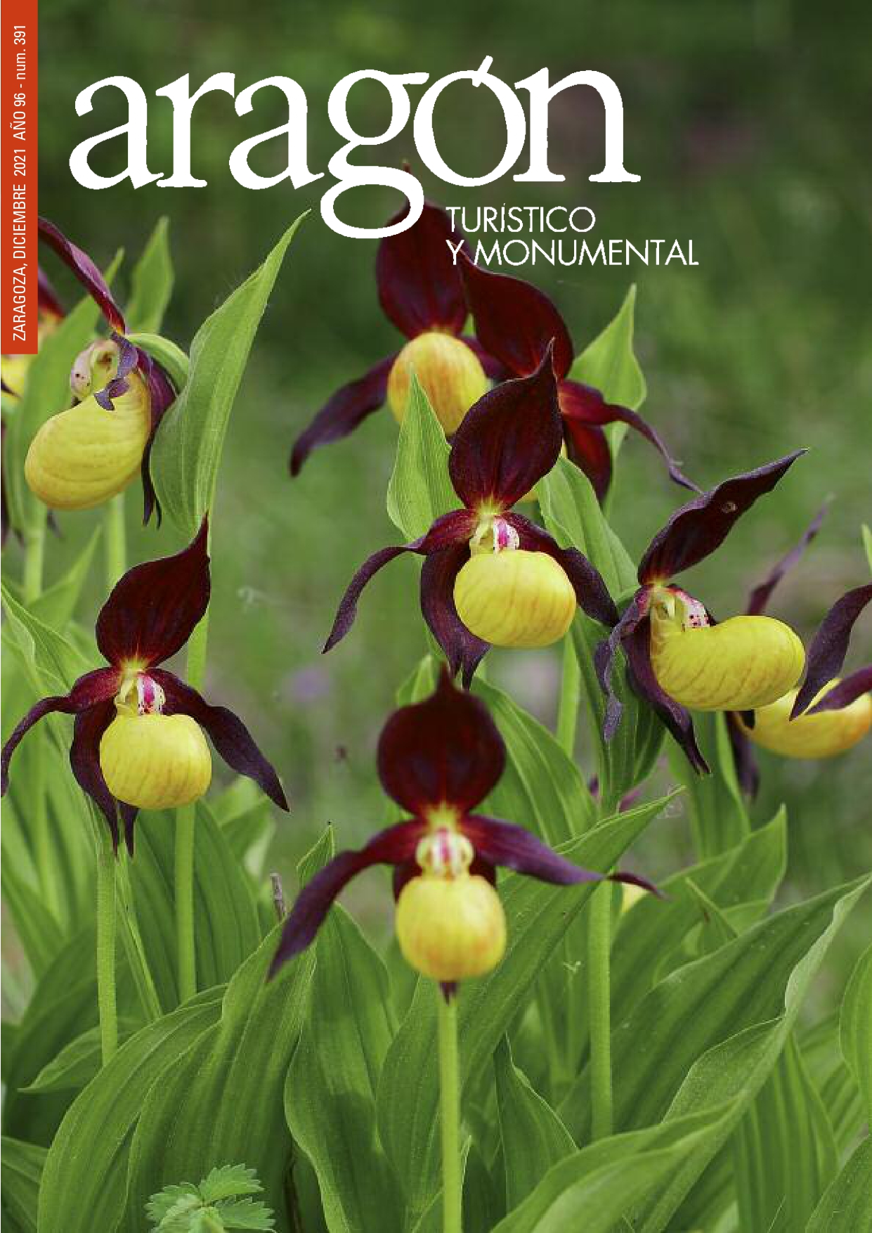 Portada del número 391